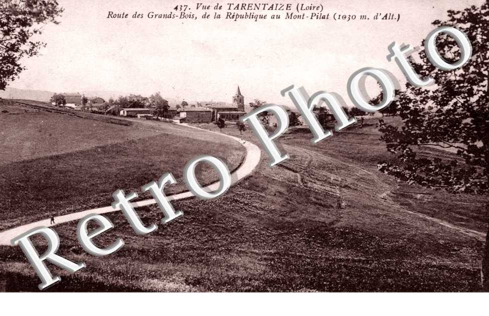 Route des Grands-Bois de la Republique au Mont-Pilat
