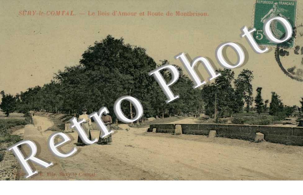 le Bois d'Amour et Route de Montbrison