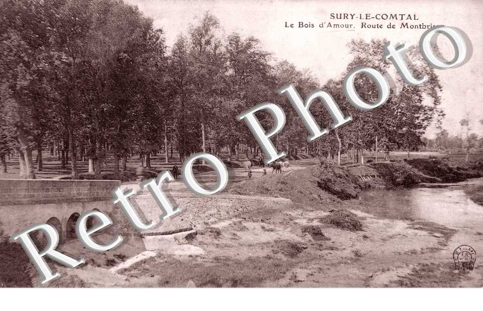Route de Montbrison, le Bois d'Amour