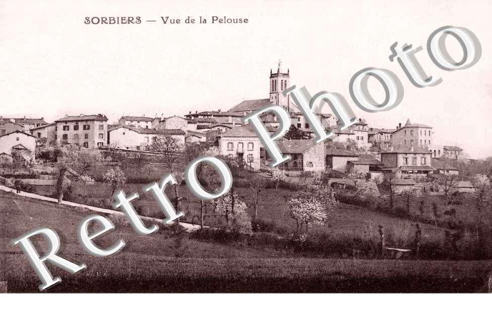 Vue de la pelouse