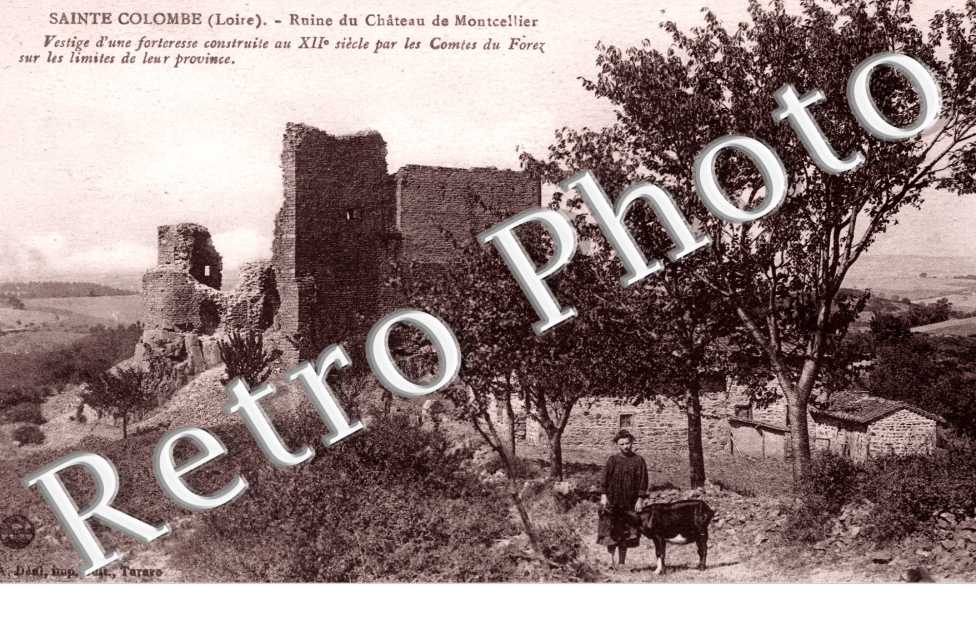 Ruine du Chateau de Montcellier