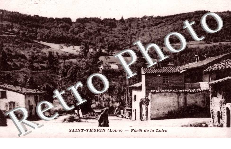 Foret de la Loire