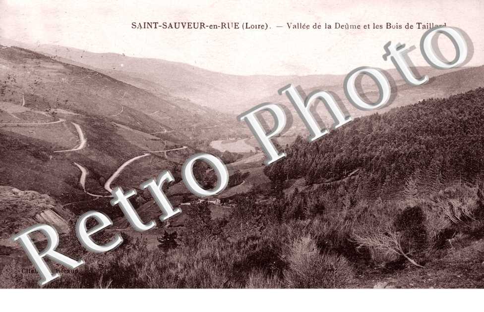 Vallee de la Deume et les Bois de Taillard
