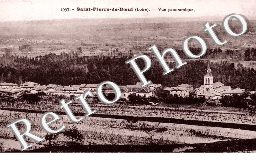 Vue Panoramique