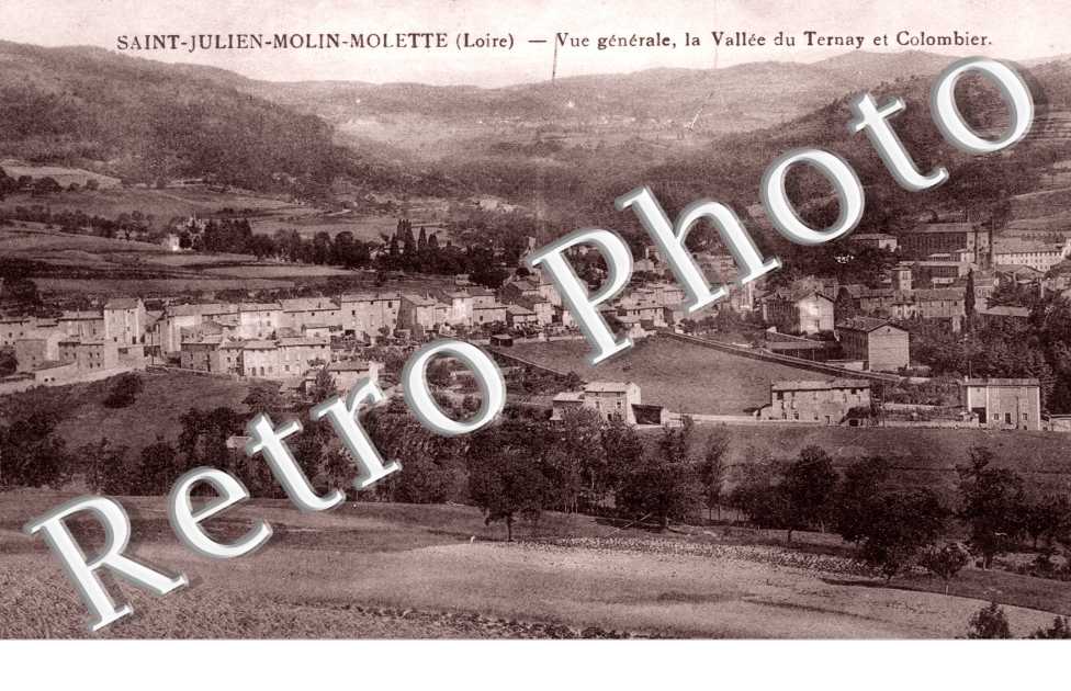 Vue Generale, la Vallee du Ternay et Colombier