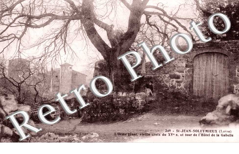 L'Orme geant et Tour de l'Hotel de la Gabelle