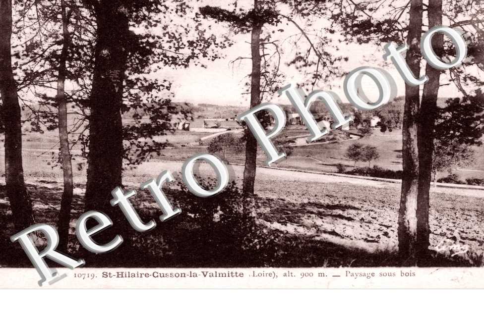 Paysage sous bois