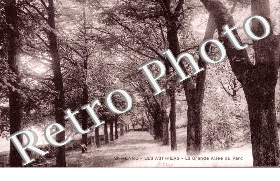 la grande Allee du Parc