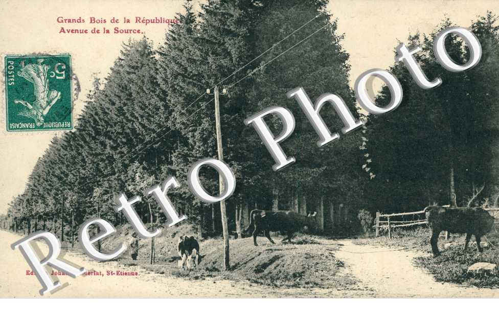 Grands Bois de la Republique, Avenue de la Source