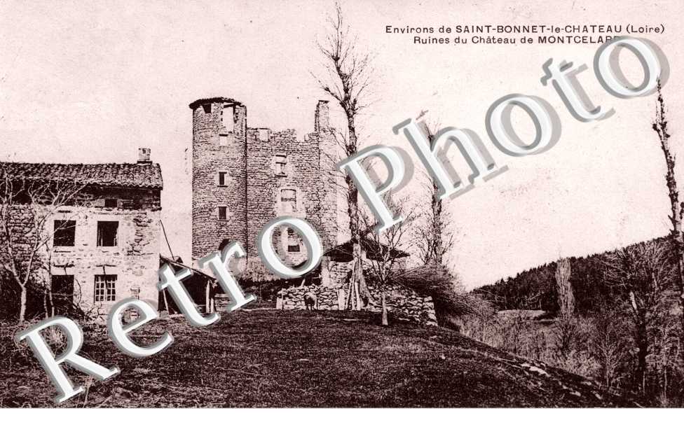 ruines du Chateau de Montcelard