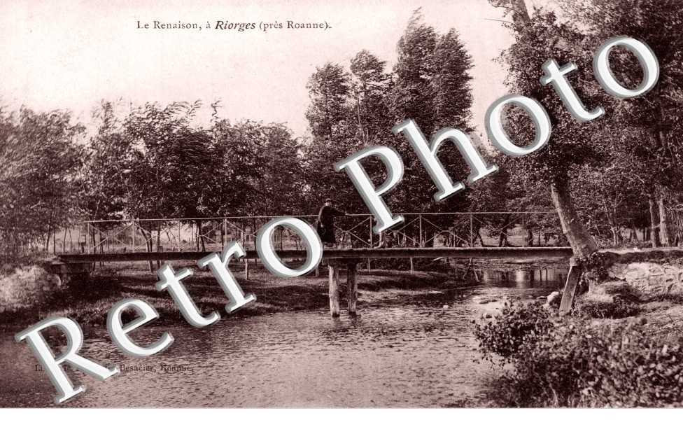 Le Renaison