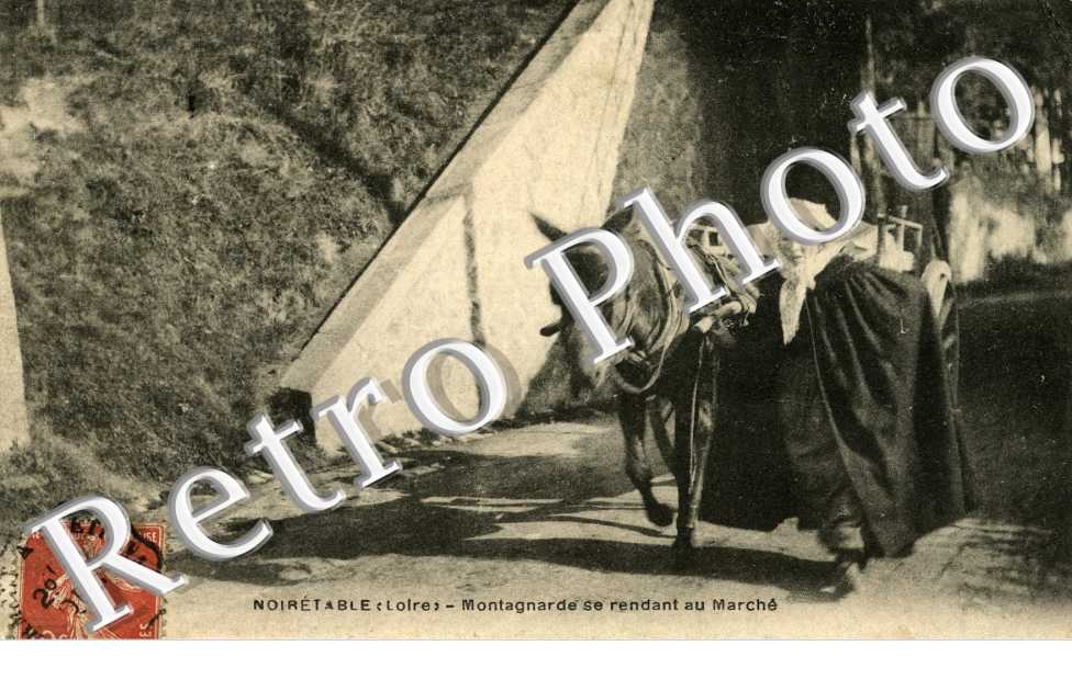 Montagnarde se rendant au marche