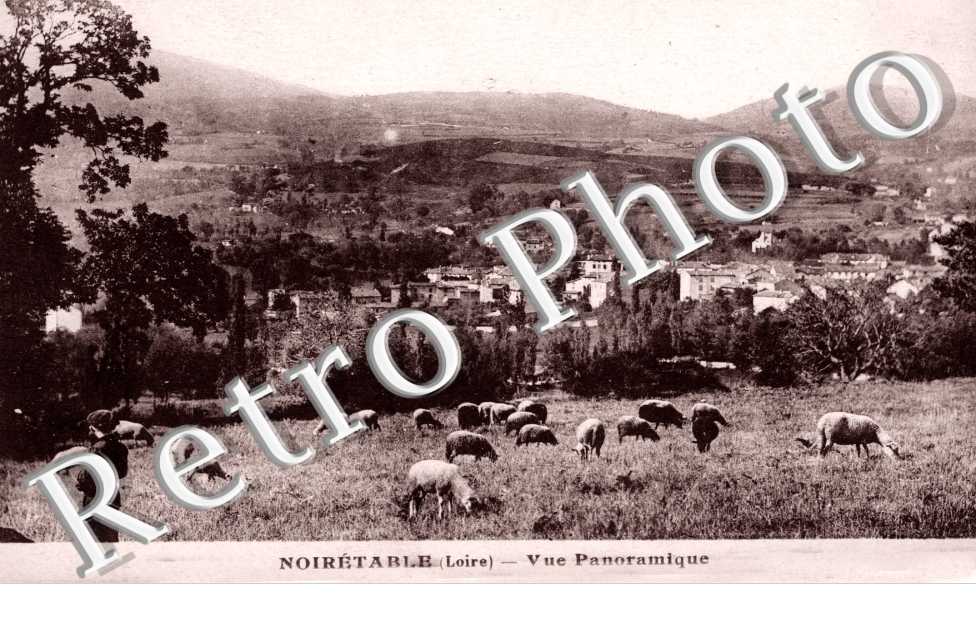 Vue Panoramique