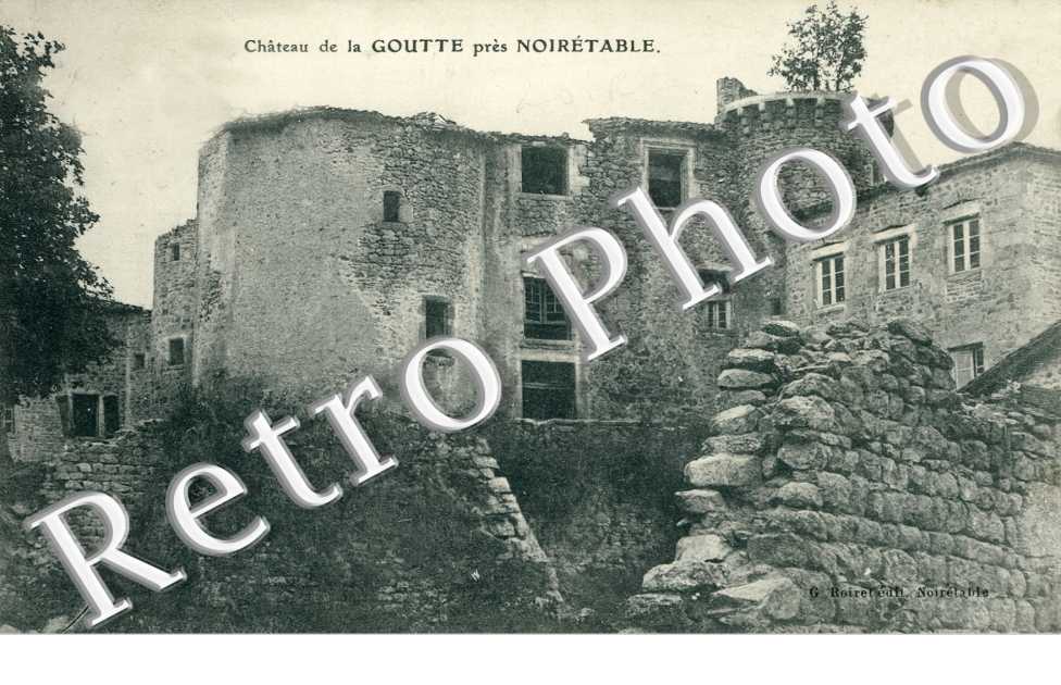 Chateau de la Goutte