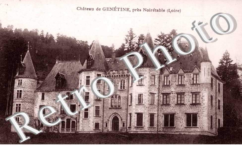 Chateau de Genetine