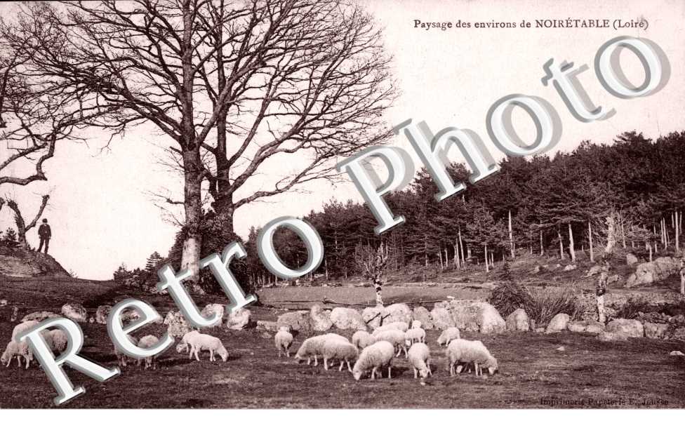 paysage des environs