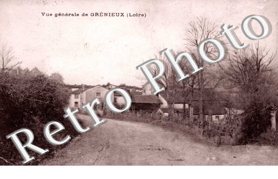 vue generale de Grenieux