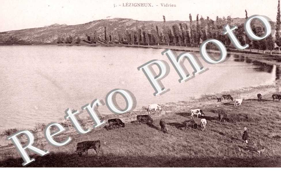 Vidrieu