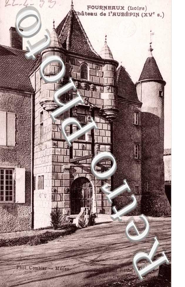 Chateau de l'Aubepin