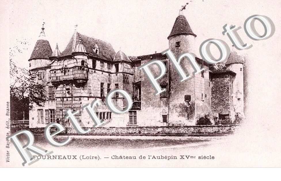 Chateau de l'Aubepin
