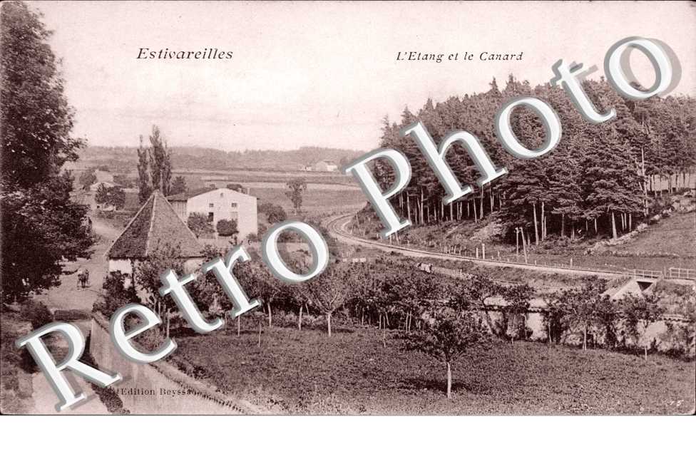 L'Etang et le Canard