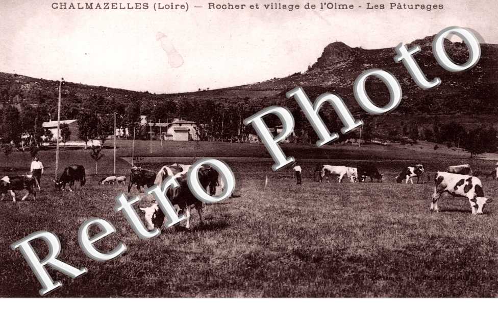 Rocher et Village de l'Olme, les Paturages