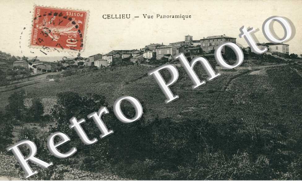 Vue Panoramique