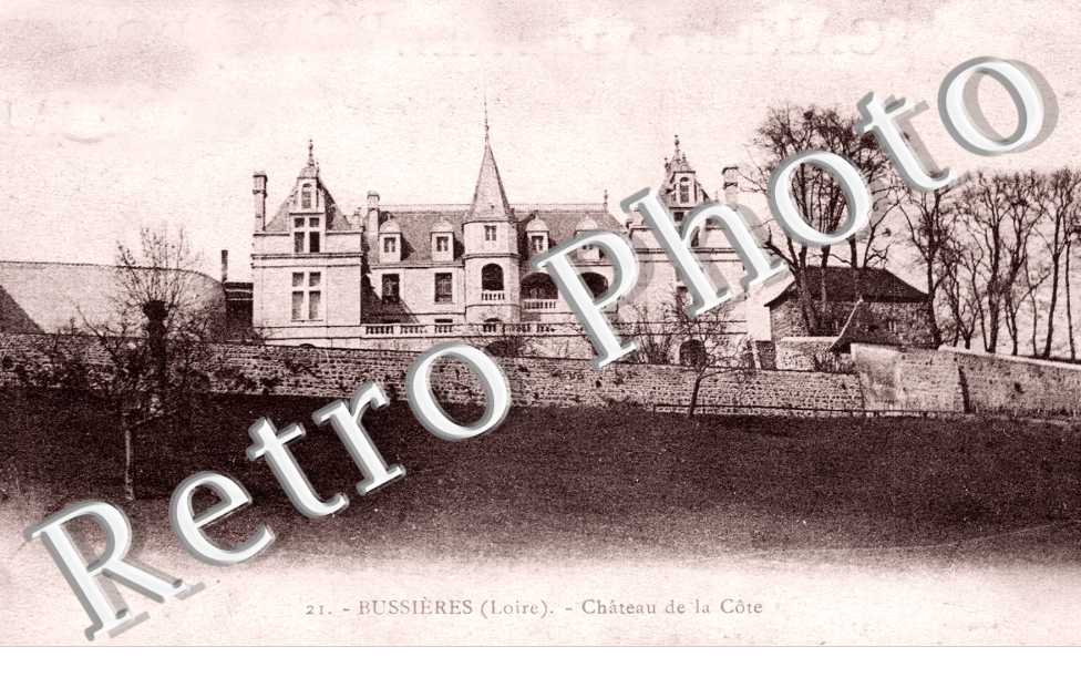Chateau de la cote