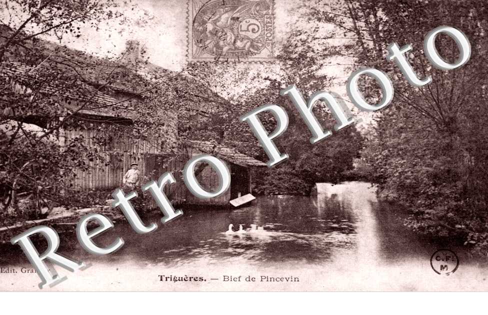 Bief de Pincevin