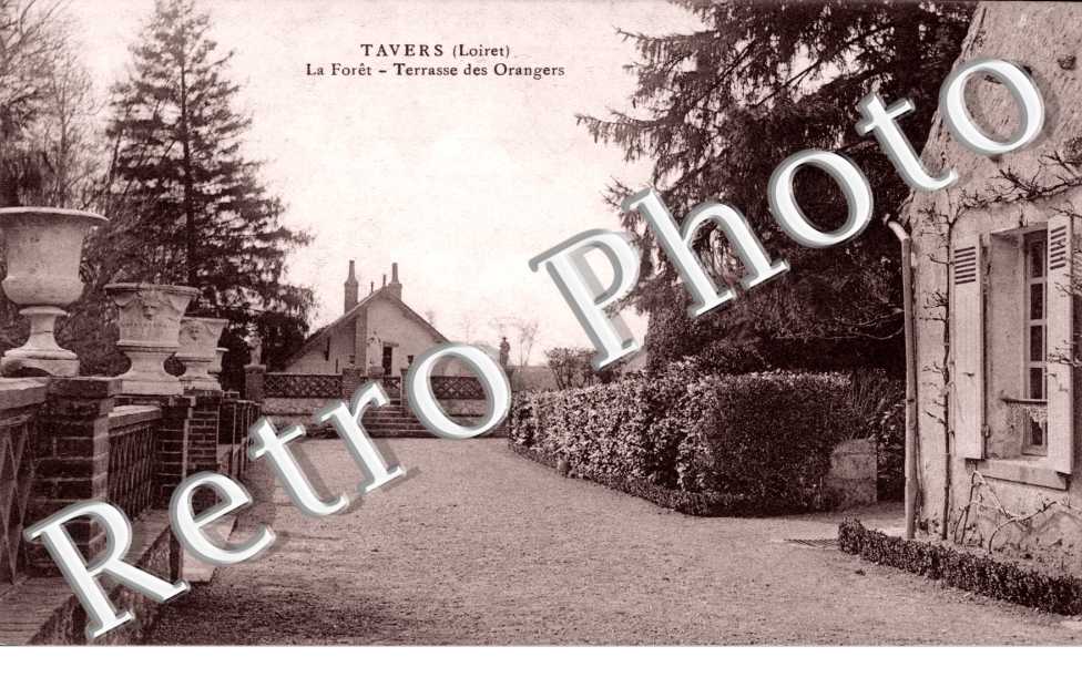 La foret - terrasse des Orangers