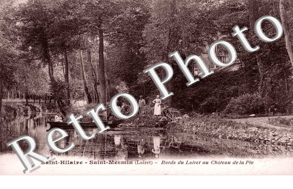 Les Bords du Loiret au Chateau de la Pie
