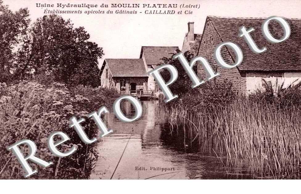 etablissments apicoles du Gatinais, Caillard et cie