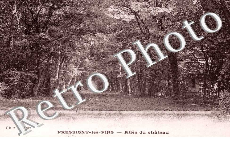 Allee du chateau