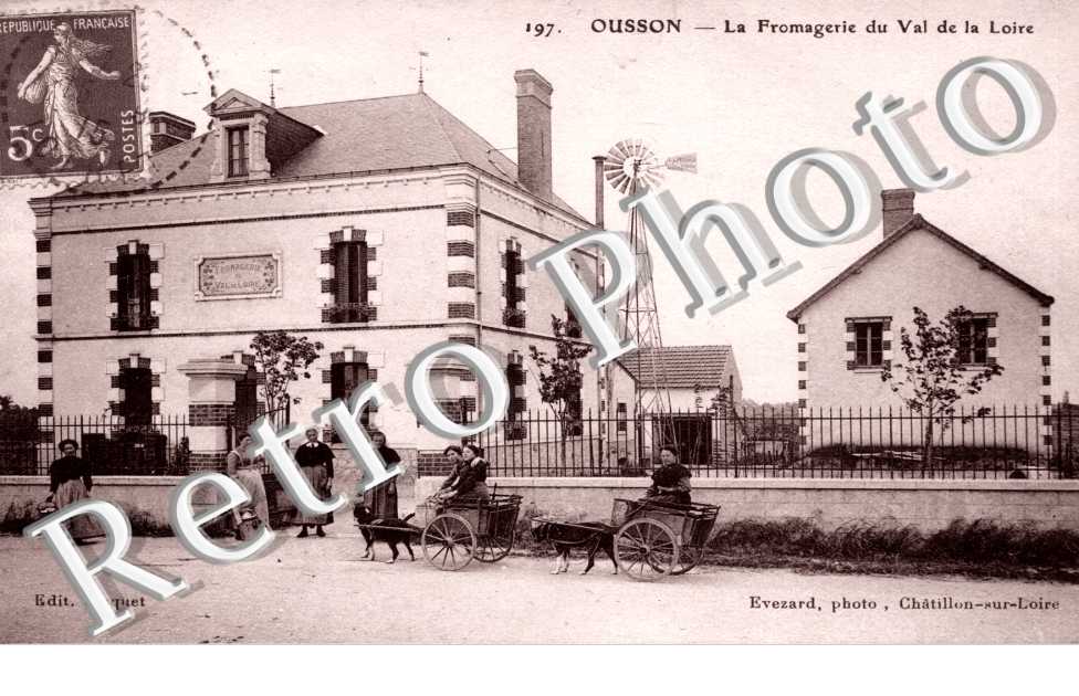 la fromagerie du Val de la Loire  Attelage de chien petit plan