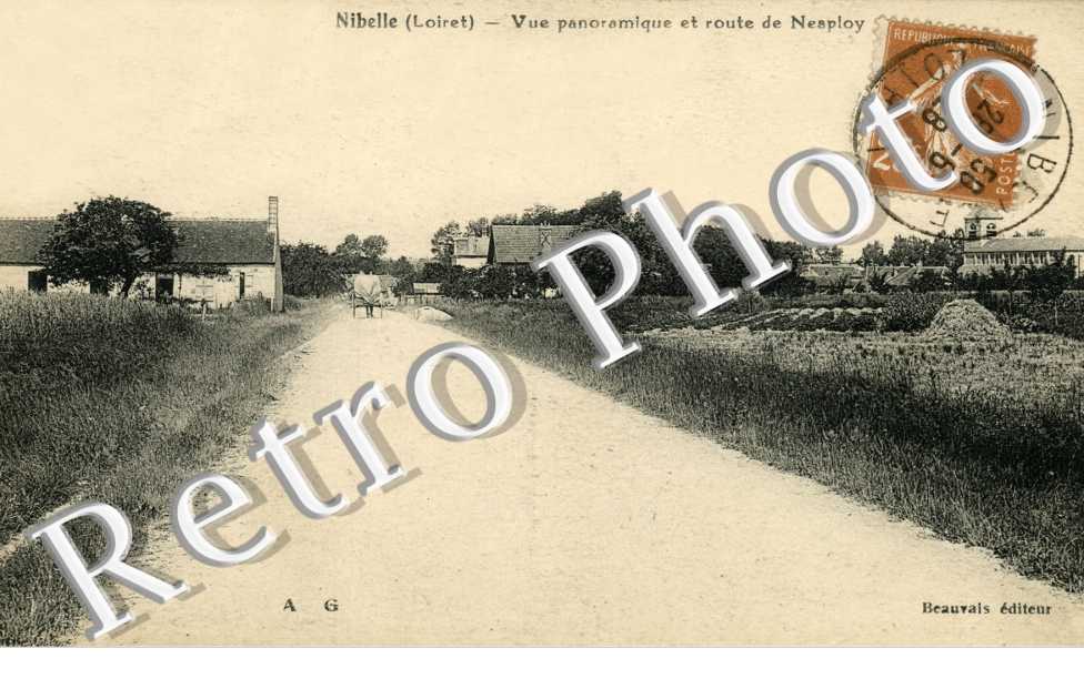 vue panoramique et route de Nesploy