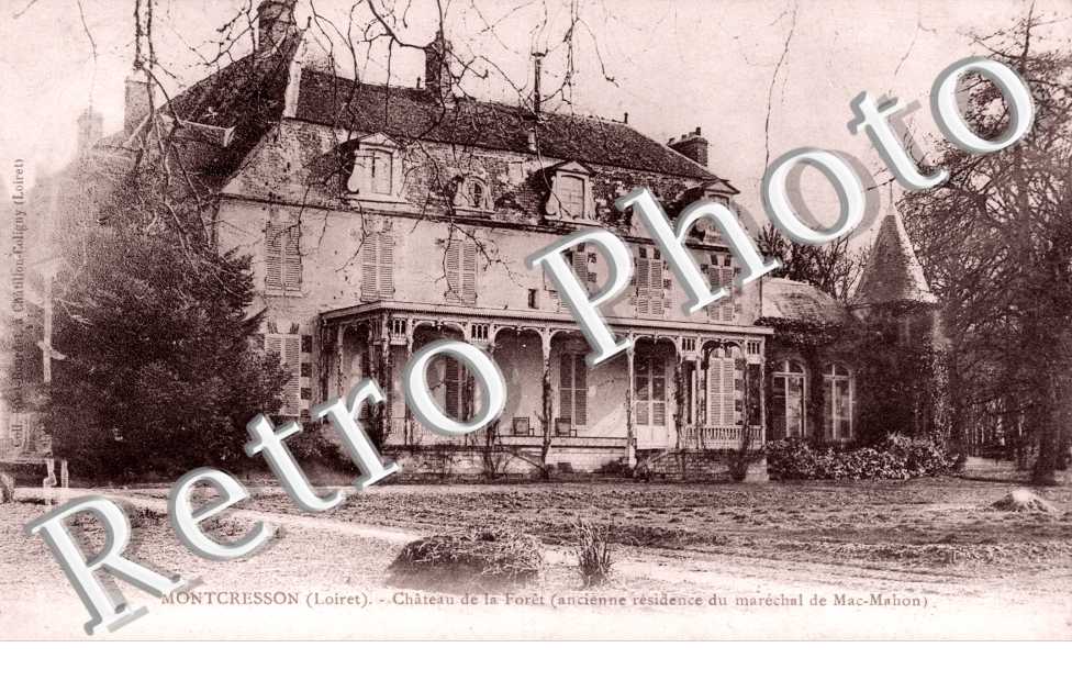 chateau de la Foret
