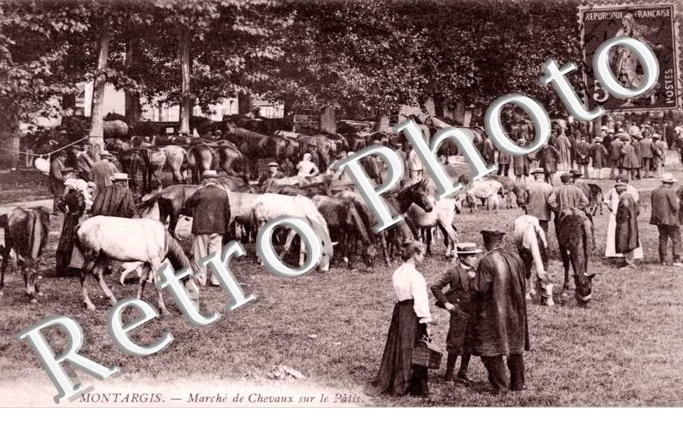 Marche de Chevaux sur le Patis