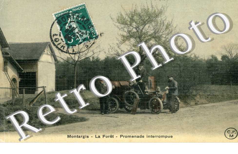 la foret, promenade interrompue