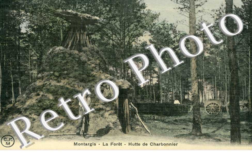 la foret, hutte de charbonnier