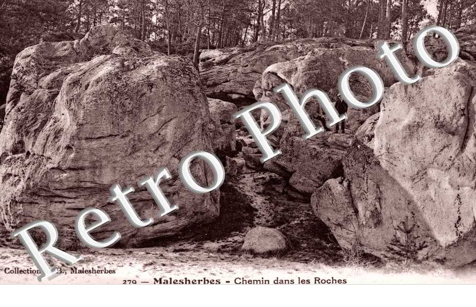 Chemin dans les Roches