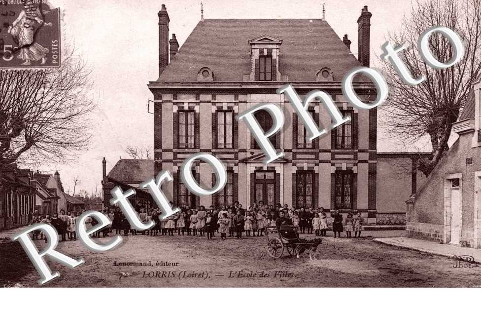 l'ecole des filles - attelage de chien petit plan