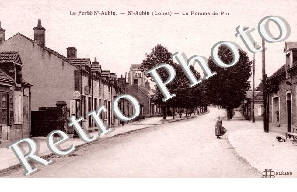 la Pomme de Pin