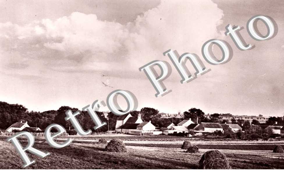 panorama