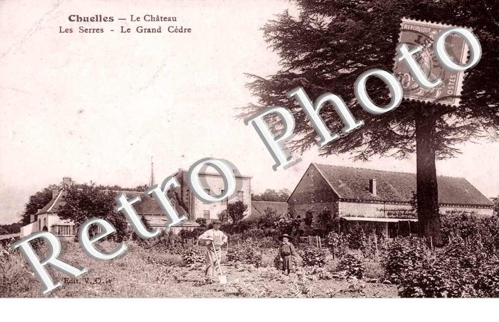 Le Chateau, les Serres et le Grand Cedre