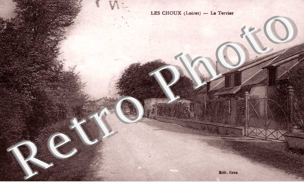 le terrier