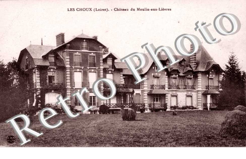 Chateau du Moulin aux Lievres