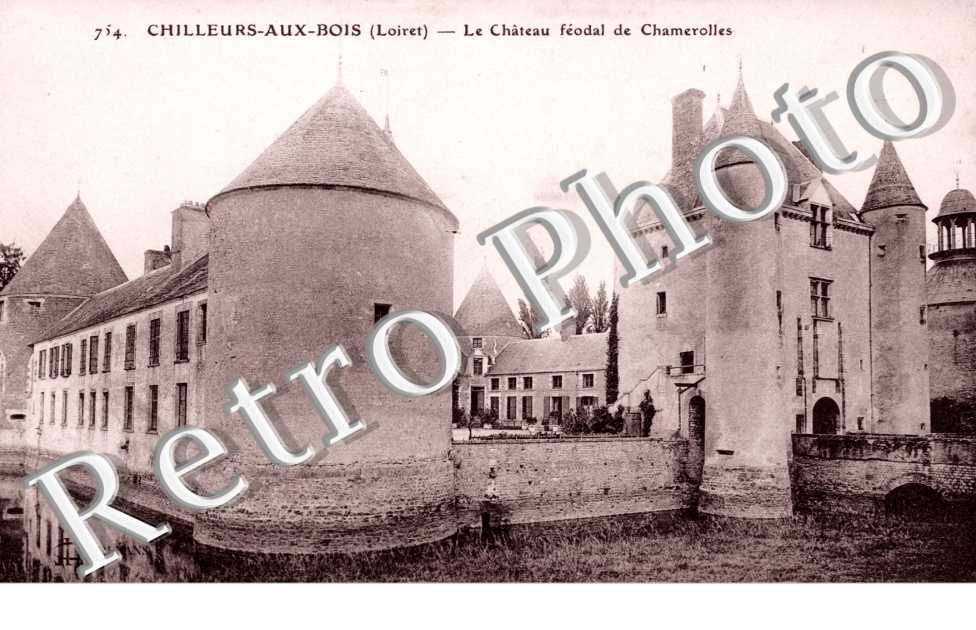 Le Chateau feodal de Chamerolles