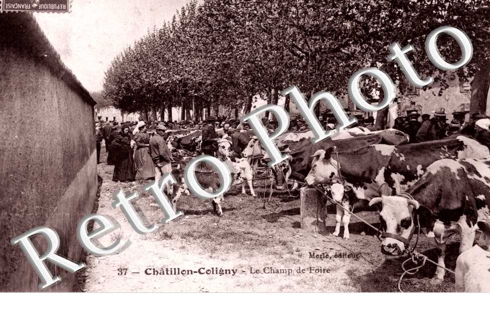 le champ de foire