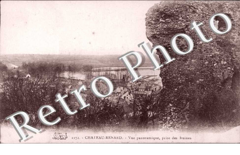 vue panoramique prise des Ruines