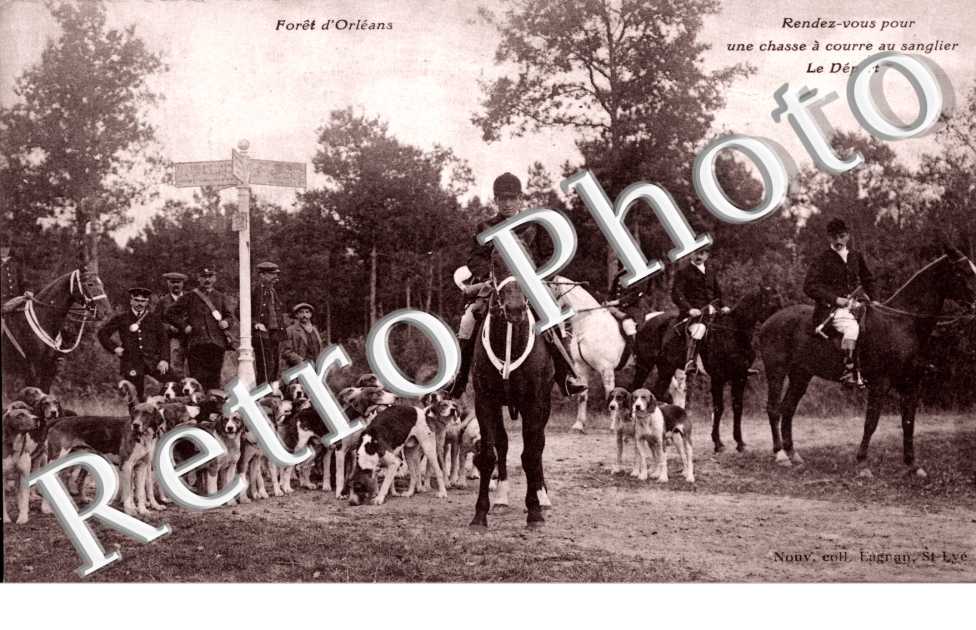 foret d'Orleans, rendez-vous pour une chasse a courre au sanglier, le depart